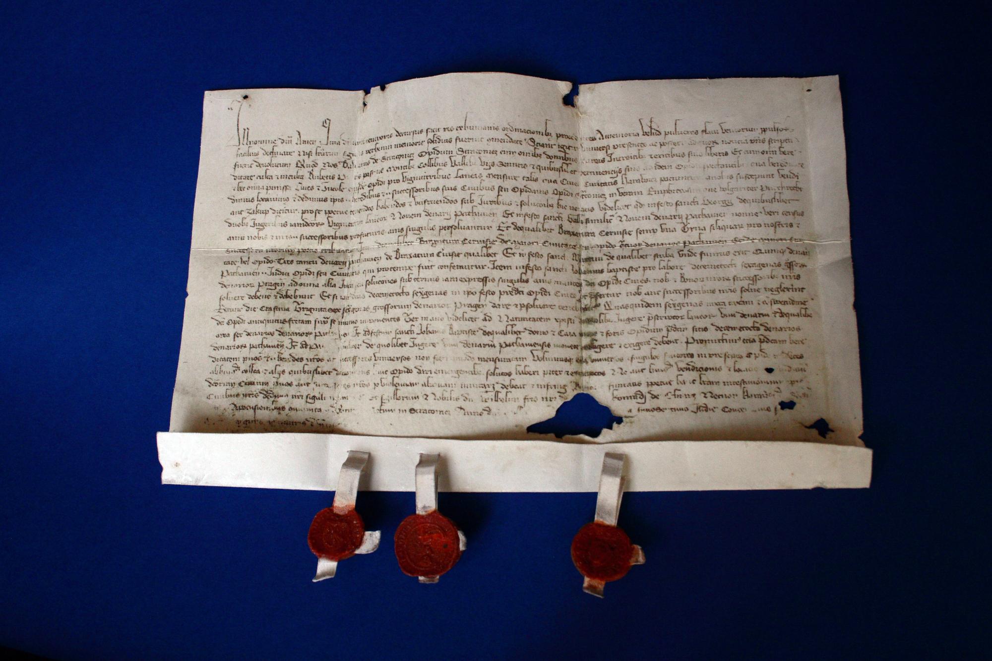 Listina Bavora IV. z roku 1367