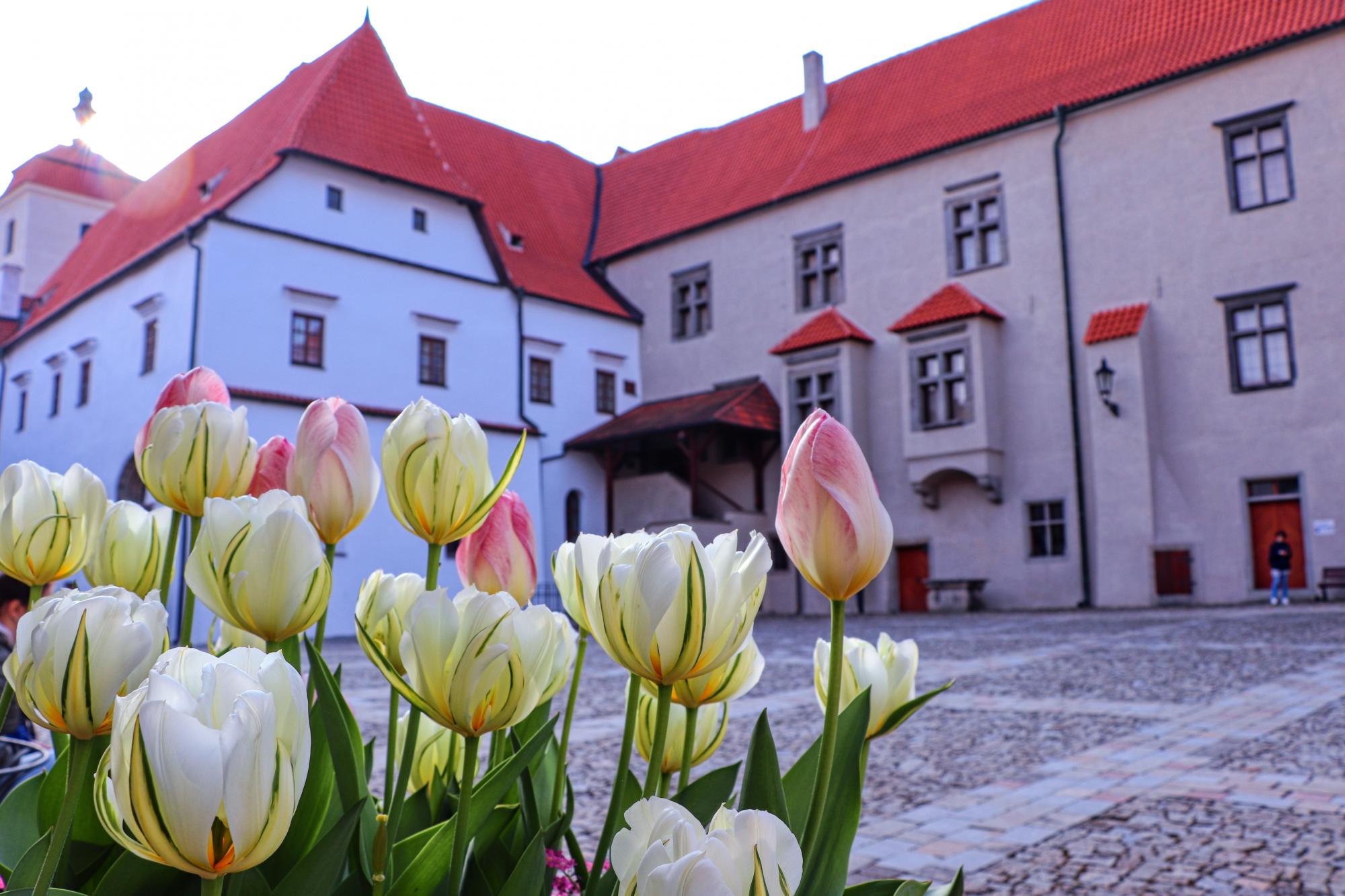 II. hradní nádvoří 